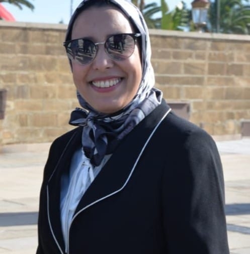 ماء العينين : أزمة القانون الإطار المتعلق بمنظومة التربية والتكوين.